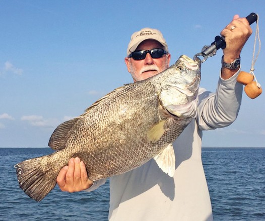 Robinson Brothers guides are sackin’ up tons of big tripletail...