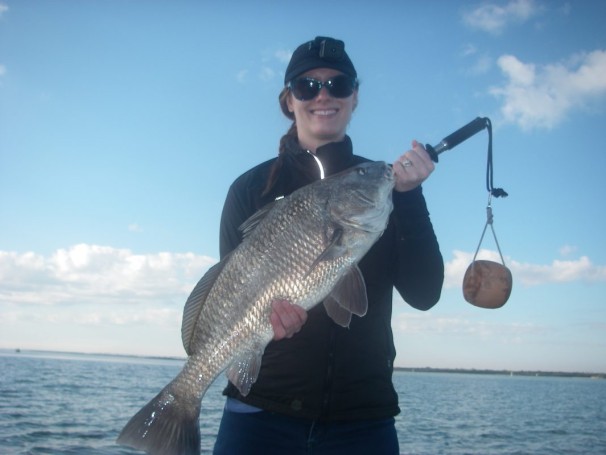Sarah is all smiles after doing battle with this black drum. Her first drum (a real monster) cut her off boat side as the fish circled the vessel while fishing with Capt. Mark.
