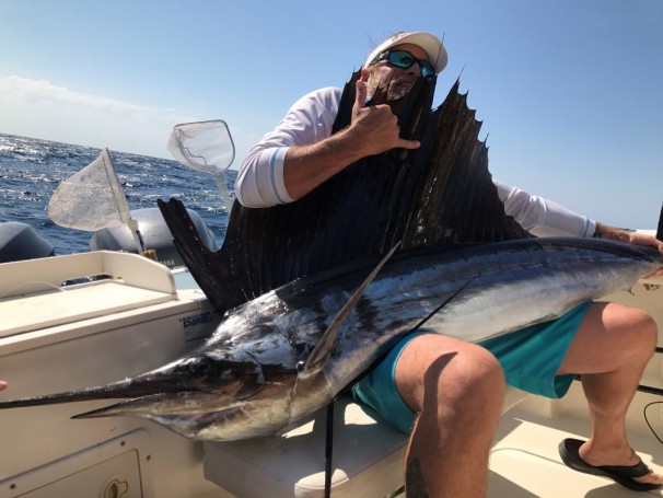 Sail Fish caught by Stacy Asbury 3-10-17 on Fin Factor Charters Capt. Joe Smith.