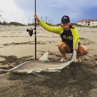 Blacktip shark, catch and release