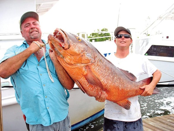 Capt Vic and Rod with a monster Cubera Snapper