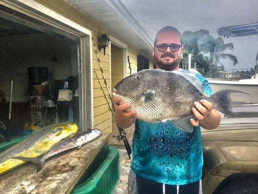 St. Lucie Inlet trigger fish
