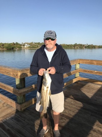 A nice snook great fight