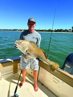 Tim Wheeler caught this 40” drum while anchored just off the Naples Pier.
