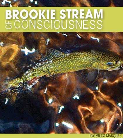 brook-stream2