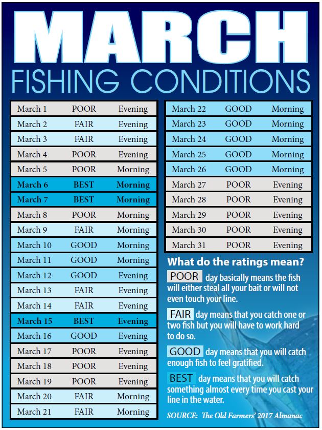 Bahamas Fishing Reports, Forecasts, News Articles, Outdoors Coastal