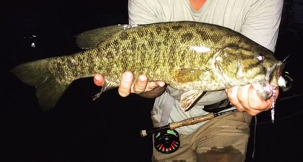 Great Smoky Mountain National Park Tennessee Side Coastal Angler