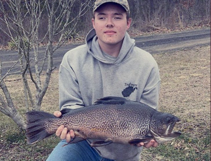 Teen Lands Record Tiger Trout Coastal Angler The Angler Magazine