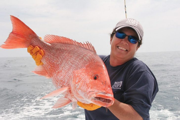 No Word On South Atlantic Red Snapper Season Coastal Angler The