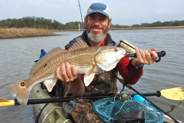 Redfish Were Under Our Kayaks ! 