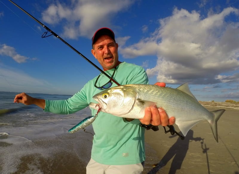 The Mullet Run, InShore