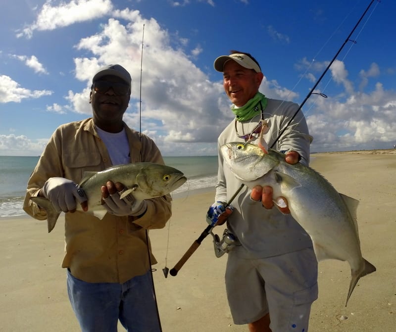 Surf Fishing How-To: The Time of the Frenzies