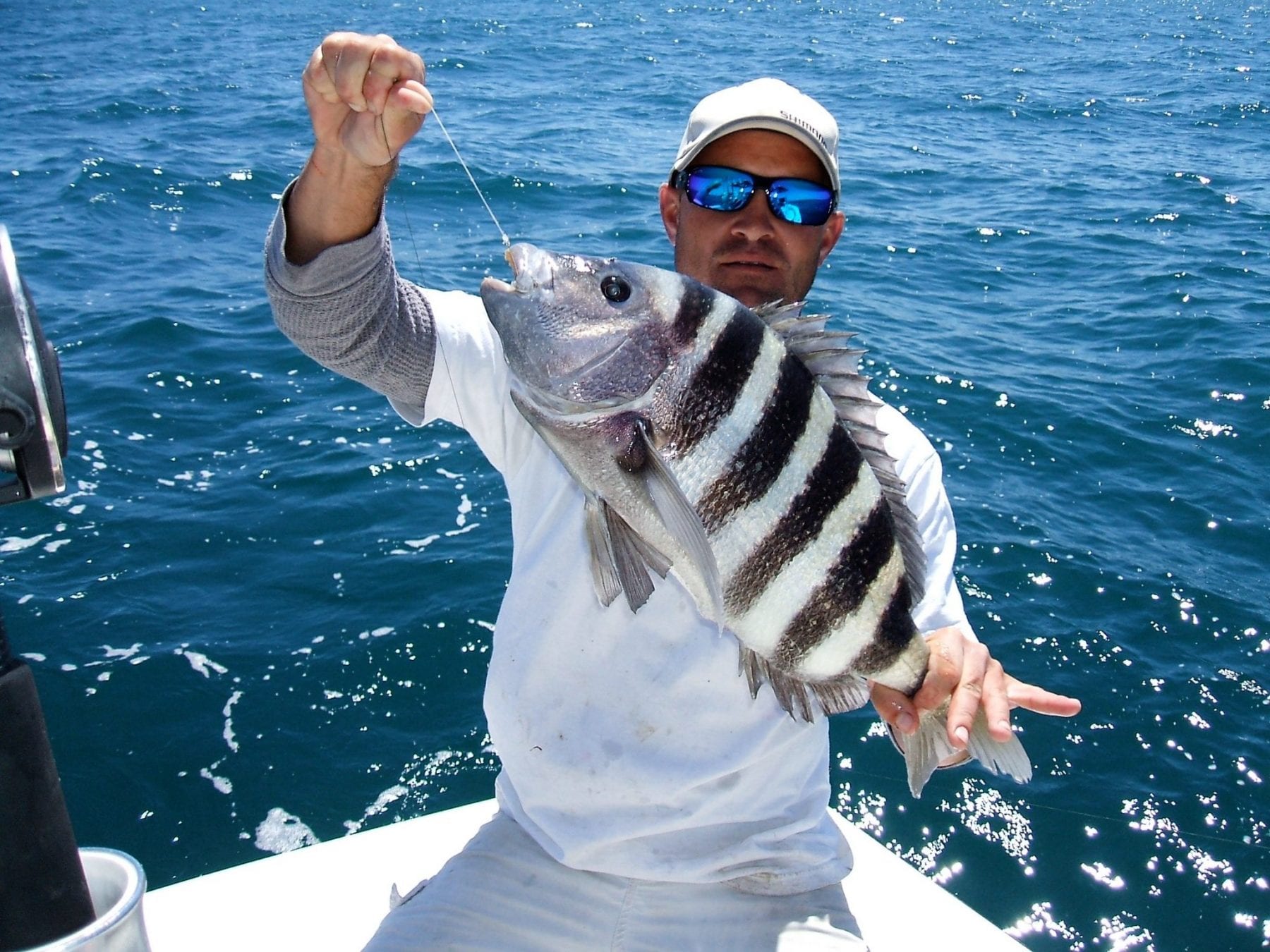 How to Catch Sheepshead, Best Bait To Use