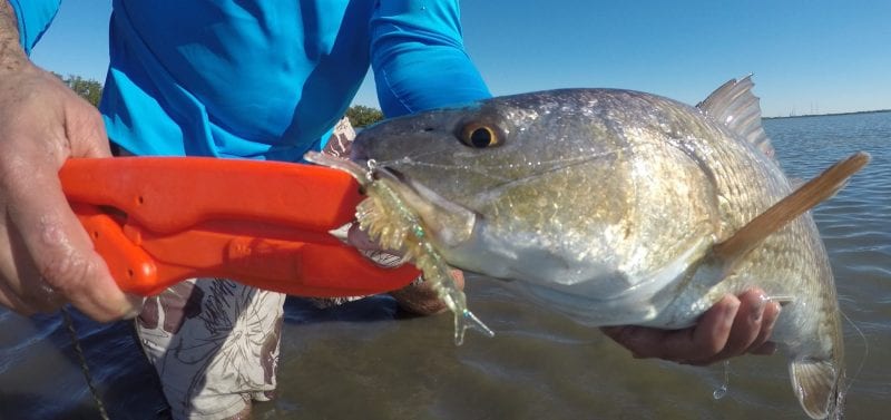 How to Take a Fishing Selfie - Coastal Angler & The Angler Magazine