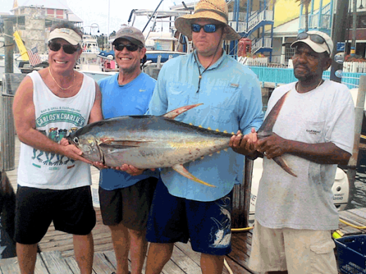 Grand Bahama tuna catch