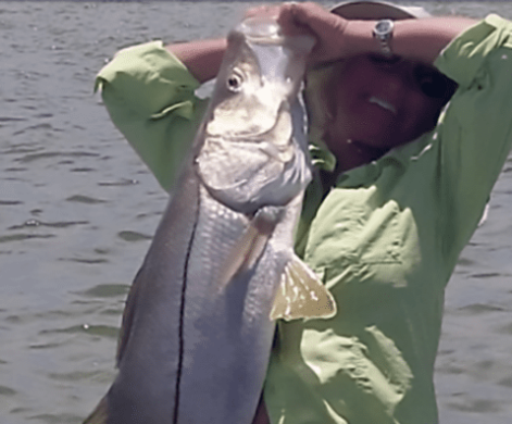 Sebastian Inlet sandbar snook