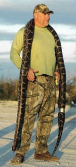 python-hunt-florida