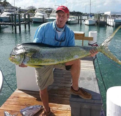 A New Providence Bull