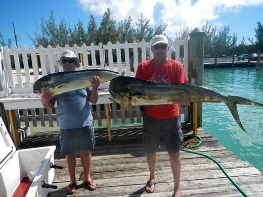 Brag Board: South Eleuthera Mahi-Mahi
