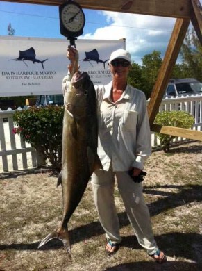 50 lb. South Eleuthera amberjack.