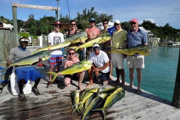 Mahi-mahi for everyone!