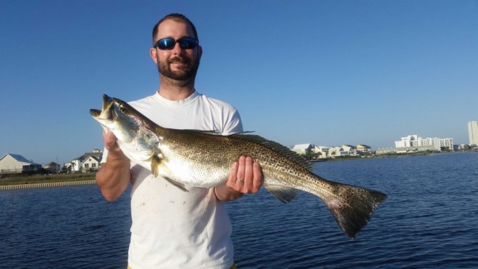 Cobia on the Lady Stuart