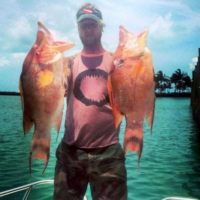 Bimini hogs!