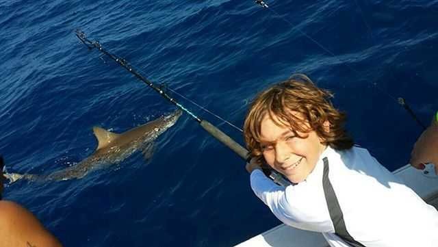 Bull shark release