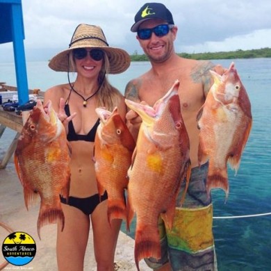 Abaco hog snappers