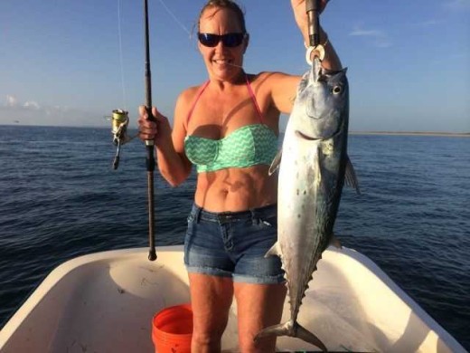 Bonito hooked out of Sebastian Inlet