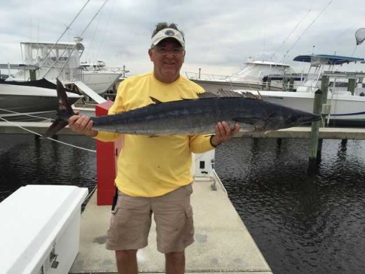 Wahoo caught offshore Stuart, Florida