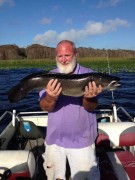 10-lb bowfin
