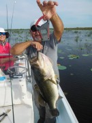 Dan Echols, 11.31 lbs, Lake Istokpoga