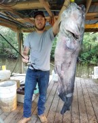 Josh,-Blue-Catfish,-61.44-lbs-Choctawhatchee-River