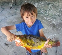 Joshua-Halstead,-41.44-lbs,-Flathead-Catfish,-Ochlockonee-River
