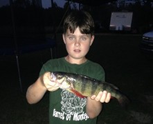 Tristan-Whittaker,Yellow-Perch,-1.06-lbs,-Chipola-River