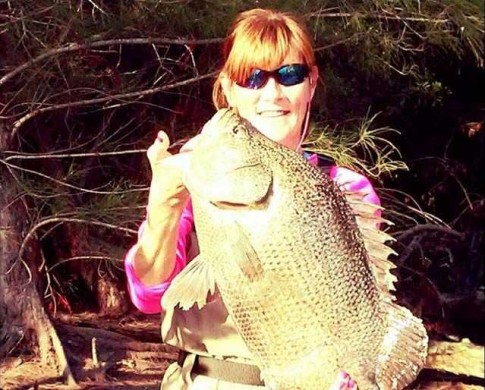 Indian River Lagoon tripletail