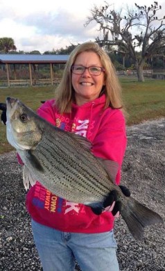 Hybrid Striped Bass