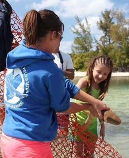 Sharklab Education Tour