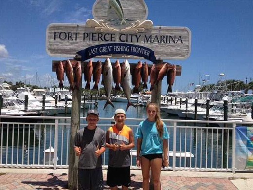 Mangrove snappers