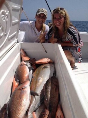 Mangrove snappers and amberjacks.