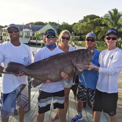 Giant Abaco grouper