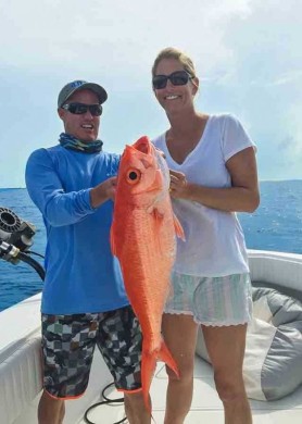 Abaco queen snapper