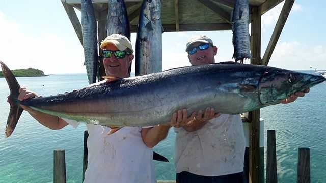 Guana Cay, Abaco wahoo