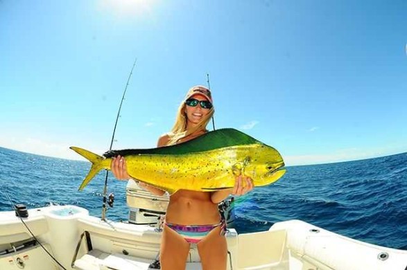 Mahi caught off Sebastian Inlet