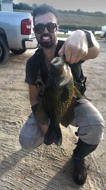 Black Crappie