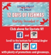 12-days-of-fishmas-promo
