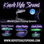 Koyote-Ugly-Spoons-bigbox