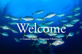 Tuna school for web welcome