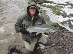 salmon-river-steelhead